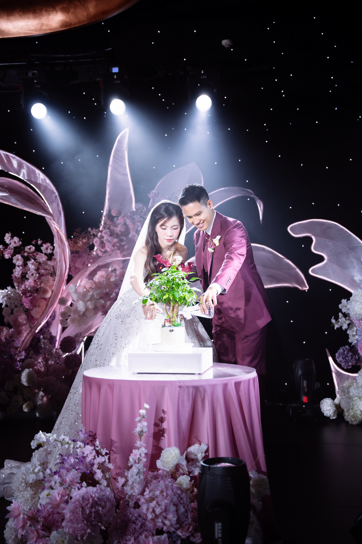 Wedding Planner 20 nghi thuc tuoi cay hanh phuc tai sanh salon 5 mipec palace